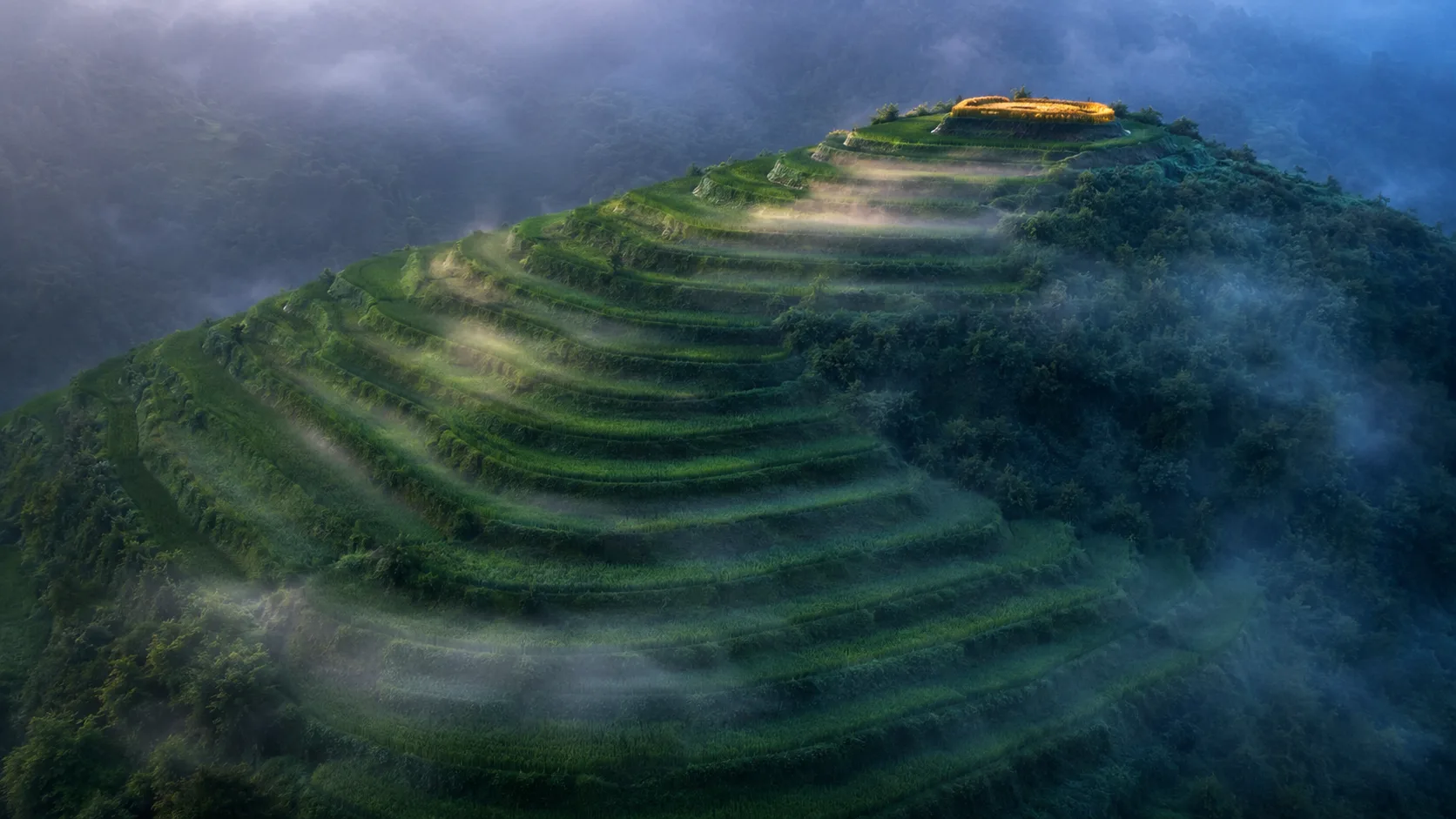Terraced fields rising in patient green layers up a hillside